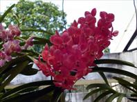 Sample Photo from Album Number 1