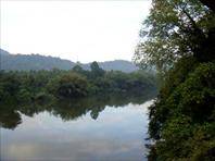 Sample Photo from Album Number 11