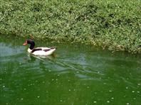 Sample Photo from Album Number 8