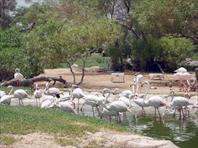 Photo: Al Areen Park Bahrain