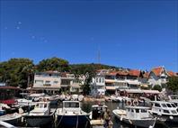 Photo: IMG_2847.jpg