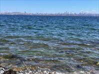 Photo: IMG_2852.jpg
