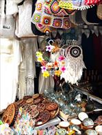 Photo: IMG_4540.jpg