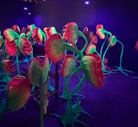 Photo: IMG_6633.jpg